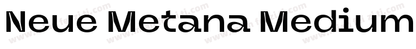 Neue Metana Medium字体转换